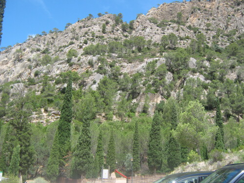IMG_0605.jpg